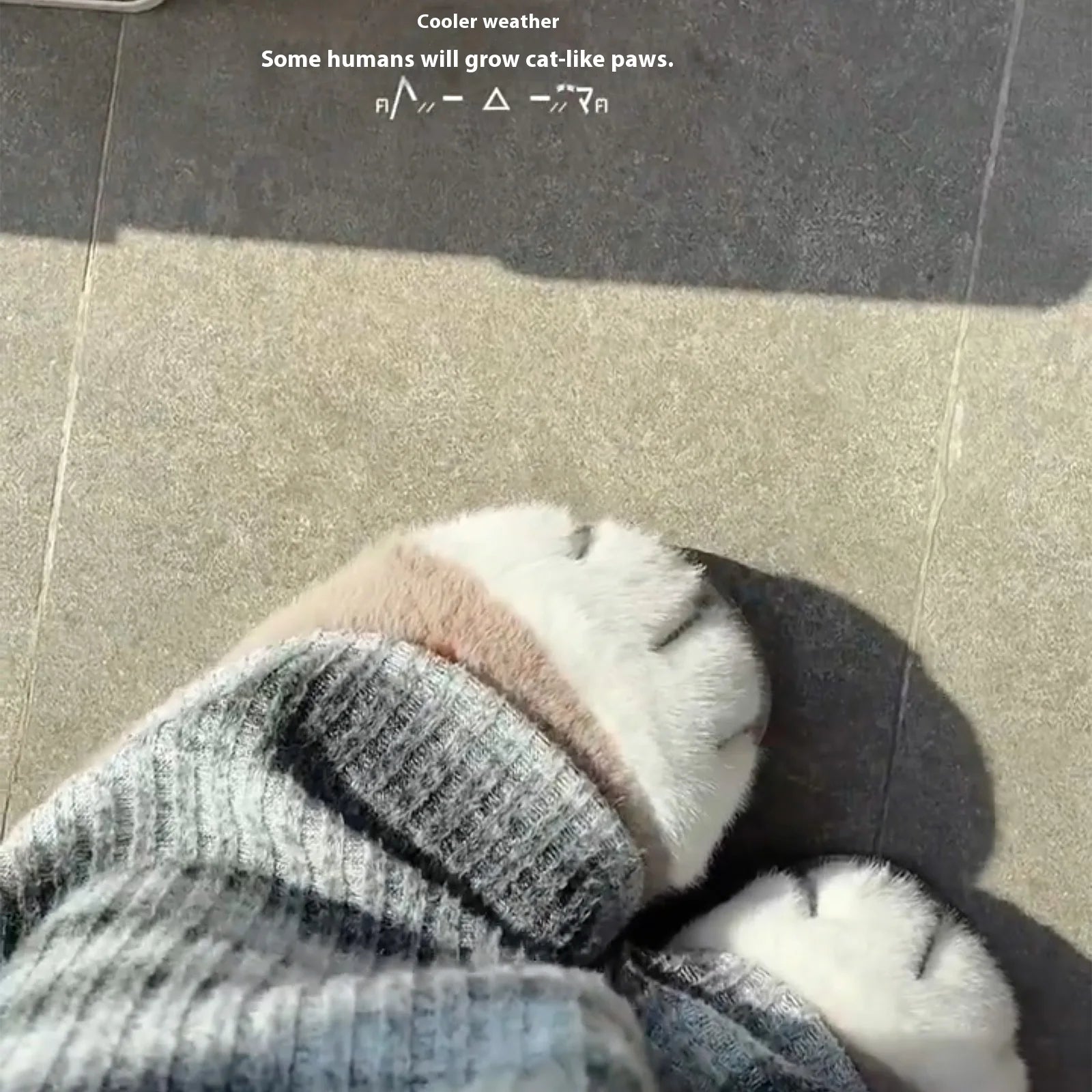 Paws & Plush Slippers